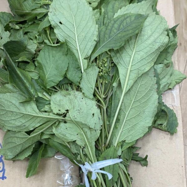 Nchonwu (scent leaves)